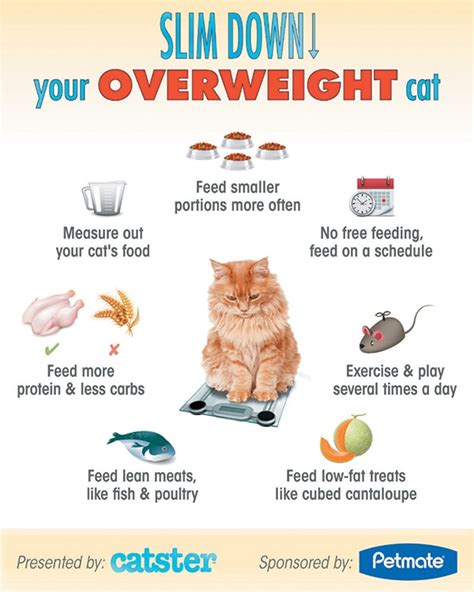 catch weight vs net weight|best food for overweight cat.